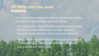 KD WOODTECH White pine tree wood