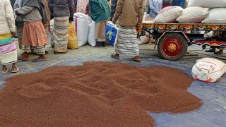 8 December আজকে কমছে তিলের পাইকারী বাজার দর প্রতি মন ৩০০০/৩২০০টাকা