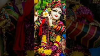 bakebihari Aaye tumhari sharan🙏🌹#radheradhe#radhekrishna#shyam#love#explore#india#sorts#yt#trending