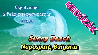 MEDÚZÁK a Napospart-on, Sunny beach | Neszebár, Bulgária