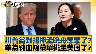 川普嘗到扣押孟晚舟惡果了？華為純血鴻蒙單挑全美國了？【新聞大白話】20241127-6｜李勝峰 介文汲 呂禮詩