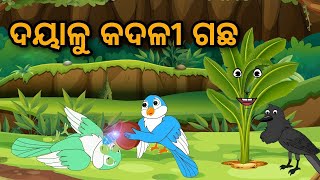 ଦୟାଳୁ କଦଳୀ ଗଛ || ଓଡିଆ ଗପ || ଓଡିଆ କାହାଣୀ