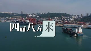 无锡西哈努克港经济特区人的10年印象  #一带一路  #无锡