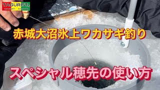 Howto 氷上ワカサギ釣り【スペシャル穂先の使い方】赤城大沼氷上ワカサギ釣り