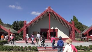 (4K) 紐西蘭蒂普亞毛利文化園區.Kiwi 鳥.Te Puia Maori Cultural Centre-Rotorua 4K ULtra HD