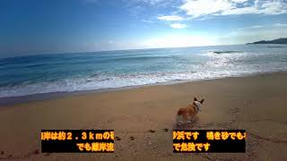 みちのく潮風トレイル：葦毛崎～大須賀海岸