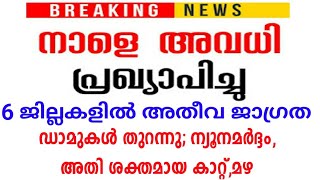 പ്രൊഫഷണൽ കോളേജ് ഉൾപ്പെടെ നാളെ അവധി 6 ജില്ലകളിൽ അതീവ ജാഗ്രത info media Malayalam edu news kerala rain