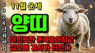 양띠 주목! 2024년 11월 양띠 운명이 바뀝니다ㅣ힘들었던 상반기를 한번에 보상받을 재물이 들어옵니다 55년생 67년생 79년생 91년생 03년생 양띠 운세 재물운