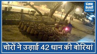 अनाजमंडी से धान की 42 बोरियां चोरी, देखिए CCTV तस्वीरें