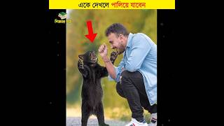 একে দেখলে পালিয়ে যাবেন || শিক্ষার পথ #shorts #animals