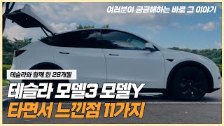 테슬라 모델3 모델Y 타면서 느낀점 11가지