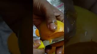 Alphonso 🥭 Cat Mango 🥭 Devgad