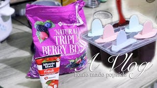 Popsicle Making Vlog | Mixed Berries Popsicle
