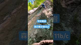 甲府幕岩「森の散歩道10b/c」