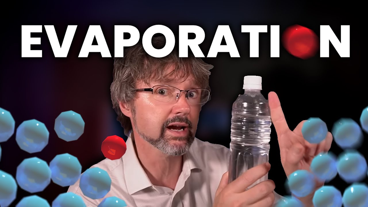 How Does Evaporation Molecular Work At Rafaela Woodruff Blog