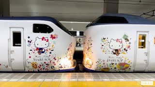 [Kansai Airport Limited Express Haruka] Kyoto → Osaka → Kansai Airport