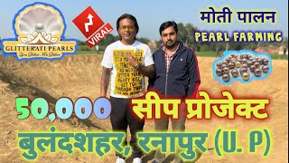 50,000 seep project bulandsahar, U.P|pearl farming|मोती पालन|Glitterati pearl farms