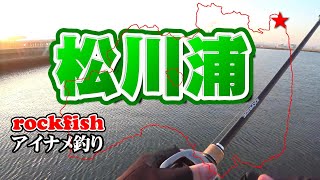 ロックフィッシュを求めてじゃいさんと相馬市 松川浦まで　風光明媚な松川浦で またもドタバタ　 悲願【アイナメ】との出会いはあるのか？