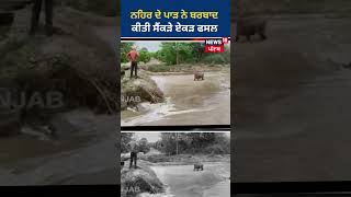 ਨਹਿਰ ਦੇ ਪਾੜ ਨੇ ਬਰਬਾਦ ਕੀਤੀ ਸੈਂਕੜੇ ਏਕੜ ਫਸਲ | #shorts | News18 Punjab