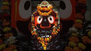 ସପନେ ଆସୁଛୁ ସପନେ ହସୁଛୁ ।। Jay Jagannath🌸🙏⭕‼️⭕