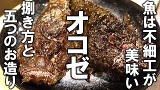 オコゼを愛する第一弾【オコゼお造り】捌き方から5つの食べ方公開！