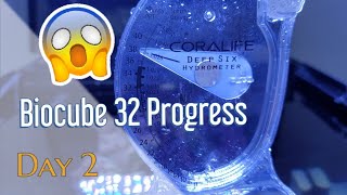 Coralife Biocube 32 Progress: Day 2