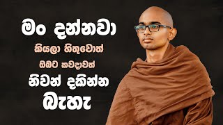 දන්නවා කියලා හිතුවොත් ඔබට මග හැරෙන දේ | Sujatha Puthra Meditation Center