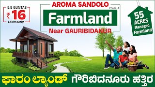 Aroma Sandolo Farmland Near Gauribidanur 5.5 Guntas 16 Lacs Call: 9008001442, 8197971428, 9972345626