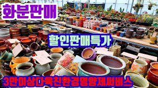 화분판매 할인판매특가 010 4499 2456 5만이상무료배송 3만이상다육친환경영양제써비스 주문은 문자로주세요