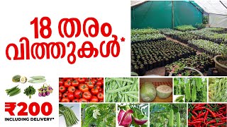 18 ഇനം പച്ചക്കറി വിത്തുകൾ 200 രൂപയ്ക്ക്. New Seeds Package For Sale 2021 Batch