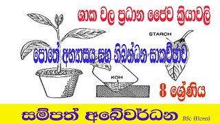 #Grade 8 Science  # ශාකවල ප්‍රධාන ජෛව ක්‍රියාවලි #Paper discussion# Lesson 11