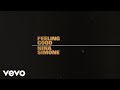 Nina Simone - Feeling Good (Lyric Video)