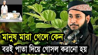 মানুষ মারা গেলে কেন বরই পাতা দিয়ে গোসল করানো হয় / শওকত হোসেন নোমানী 01746679988