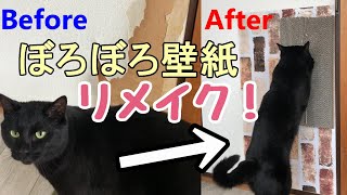 猫歓喜‼壁紙リメイクして爪研ぎ設置してみた【DIY】