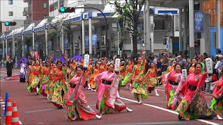 疾風乱舞・第16回湘南よさこい祭り・2019年6月2日。