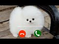 New message ringtone || best sms tone || new notification ringtone message tone || new trending