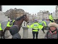 idiot arrested by mounted police on boxing day before we even get to horse guards