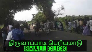 17/01/2020 திருவாப்பாடி பெரியமாடு panthayam small click