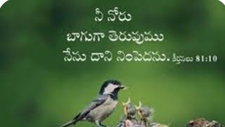 DAY#1317 | నీ నోరు బాగుగా తెరువుము | Open Up Your Mouth Wide\u0026I wil Fill It | Bro.Prasad | Psal 81:10