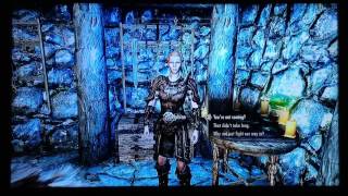 SKYRIM The Elder Scrolls - DIPLOMATIC IMMUNITY  #739