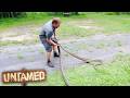 Catching Giant Pythons Hidden In Family Shed! 🐍 Untamed