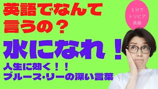 「水になれ！」ってなんて言うの？人生に効くブルース・リーの名言。１分でトリビア英語