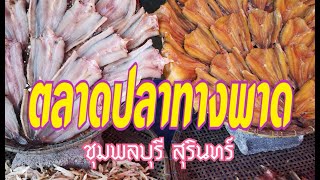 ตลาดปลาทางพาด อ.ชุมพลบุรี จ.สุรินทร์