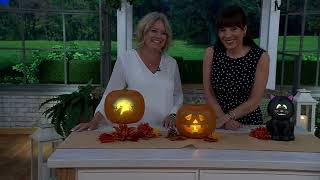 Jabberin' Jack Talking Pumpkin with Animated Halloween Scenes on QVC