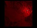 Stunning Interactive 3D Animation for Web Backgrounds 2024