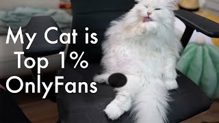 My Cat Is Top 1 On Onlyfans