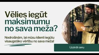 Pērkam mežus un meža īpašumus visā Latvijā