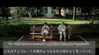 【Forrest Gump/フォレスト・ガンプ 一期一会(1/10)】洋画で楽しく英語学習（日本語/英語字幕付き）