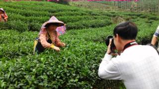 2012.05.23 天津市海峽兩岸民間交流促進會阿里山茶園風光體驗遊(導遊塗夢龍)