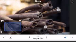 Mastering the Brush Tool